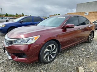 HONDA ACCORD EXL