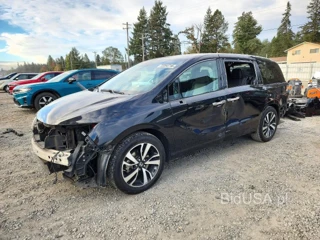 HONDA ODYSSEY ELITE