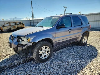 FORD ESCAPE LIMITED