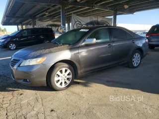TOYOTA CAMRY XLE V6