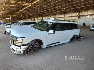 HYUNDAI PALISADE CALLIGRAPHY