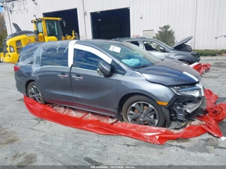 HONDA HONDA ODYSSEY ELITE