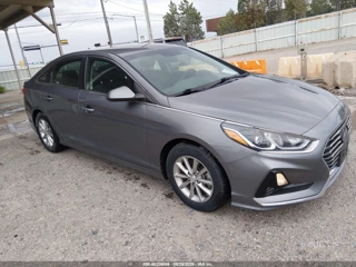 HYUNDAI HYUNDAI SONATA ECO