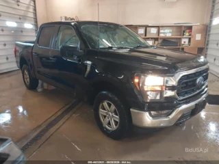 FORD FORD F-150 XLT