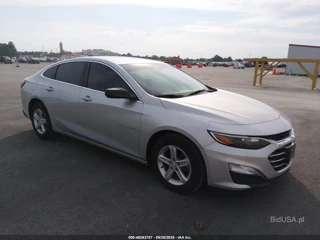 CHEVROLET CHEVROLET MALIBU 1FL