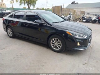 HYUNDAI HYUNDAI SONATA ECO