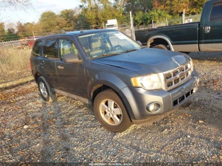 FORD FORD ESCAPE XLT