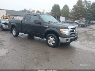 FORD FORD F-150 XLT