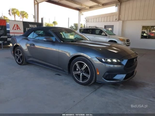 FORD FORD MUSTANG ECOBOOST PREMIUM