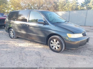 HONDA HONDA ODYSSEY EX-L