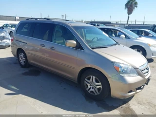 HONDA HONDA ODYSSEY EXL