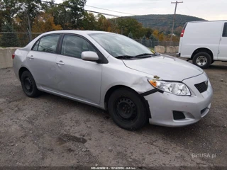 TOYOTA TOYOTA COROLLA XLE