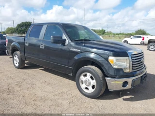 FORD FORD F-150 XLT
