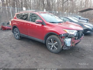 TOYOTA TOYOTA RAV4 XLE