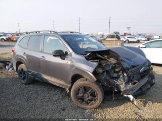 SUBARU SUBARU FORESTER WILDERNESS