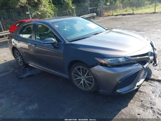 TOYOTA TOYOTA CAMRY SE