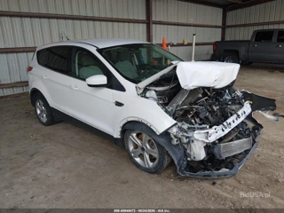 FORD FORD ESCAPE SE