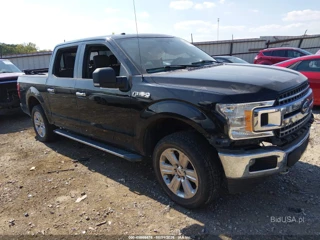 FORD FORD F-150 XLT