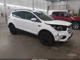 FORD FORD ESCAPE SE