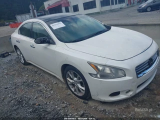 NISSAN NISSAN MAXIMA 3.5 SV