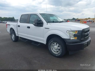 FORD FORD F-150 XL