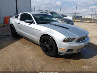 FORD FORD MUSTANG V6/V6 PREMIUM