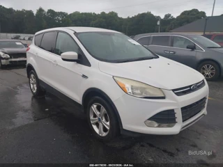 FORD FORD ESCAPE SE