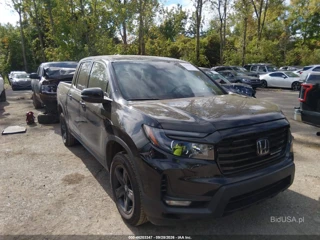 HONDA HONDA RIDGELINE BLACK EDITION