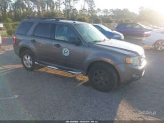 FORD FORD ESCAPE XLT
