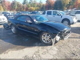 FORD FORD MUSTANG GT