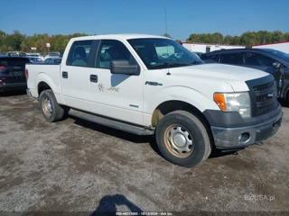 FORD FORD F-150 XL
