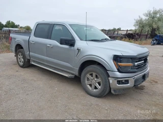 FORD FORD F-150 XLT