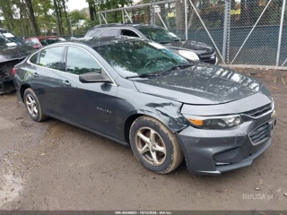 CHEVROLET CHEVROLET MALIBU 1FL