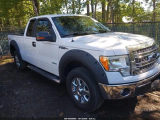 FORD FORD F-150 XLT