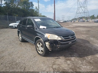 HONDA HONDA CR-V EX