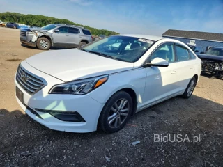 HYUNDAI SONATA ECO