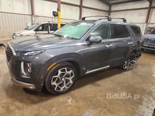 HYUNDAI PALISADE CALLIGRAPHY