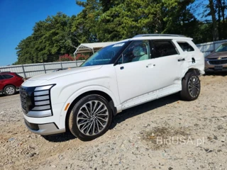 HYUNDAI PALISADE CALLIGRAPHY