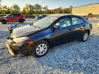 TOYOTA COROLLA L
