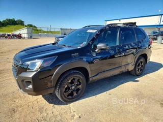 SUBARU FORESTER WILDERNESS