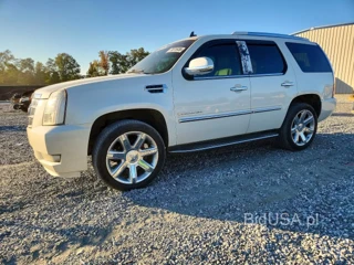 CADILLAC ESCALADE LUXURY