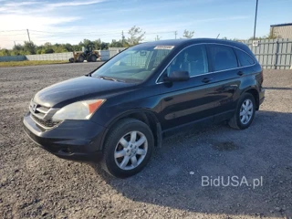 HONDA CR-V LX