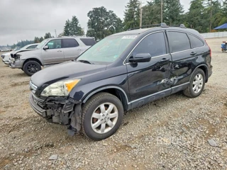 HONDA CR-V EXL