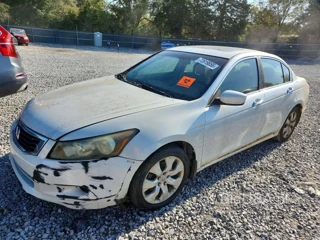 HONDA ACCORD EXL