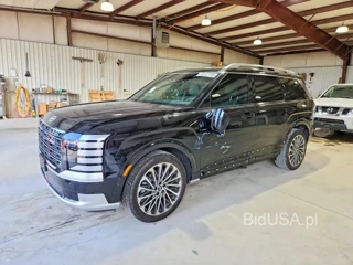 HYUNDAI PALISADE CALLIGRAPHY