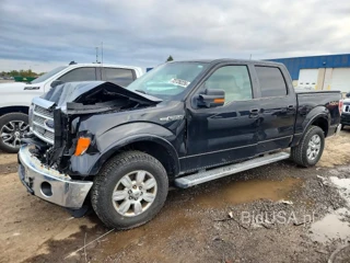FORD F150 SUPERCREW