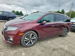 HONDA ODYSSEY ELITE