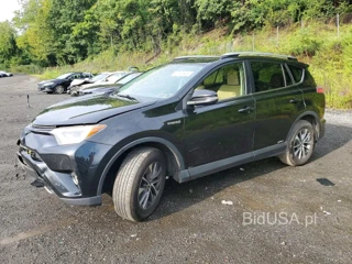 TOYOTA RAV4 HYBRID XLE