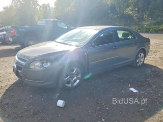 CHEVROLET MALIBU 1LT