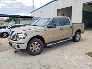 FORD F150 SUPERCREW